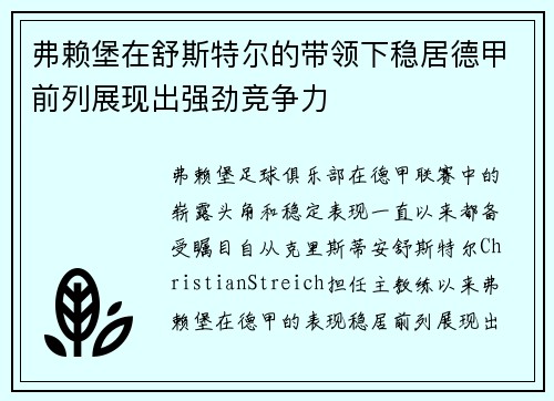 弗赖堡在舒斯特尔的带领下稳居德甲前列展现出强劲竞争力